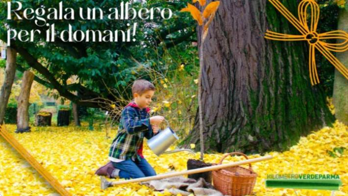 A Natale &ldquo;Regala un albero per il domani&rdquo; con la campagna GoFundMe
