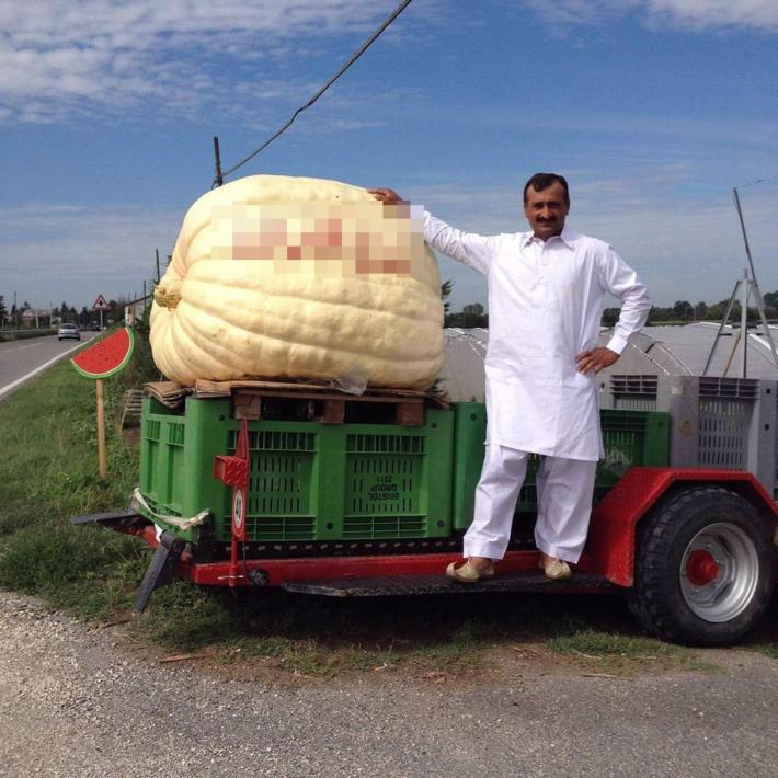 Respinta istanza di rilascio su cauzione del padre