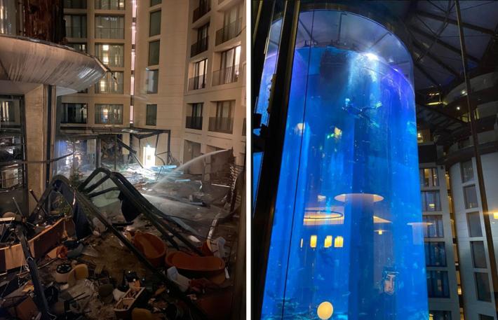 Berlino, esplode enorme acquario con 1500 pesci tropicali