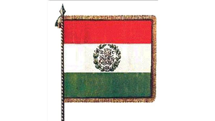 Reggio, per la festa del Tricolore arriva Galeazzo Bignami. La protesta dell'Anpi  e di Adelmo Cervi. Il sindaco: "Venga un ministro"