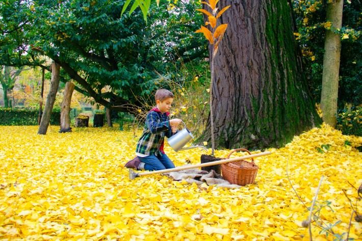 KilometroVerdeParma: vicino il traguardo di un nuovo bosco urbano nel quartiere Molinetto