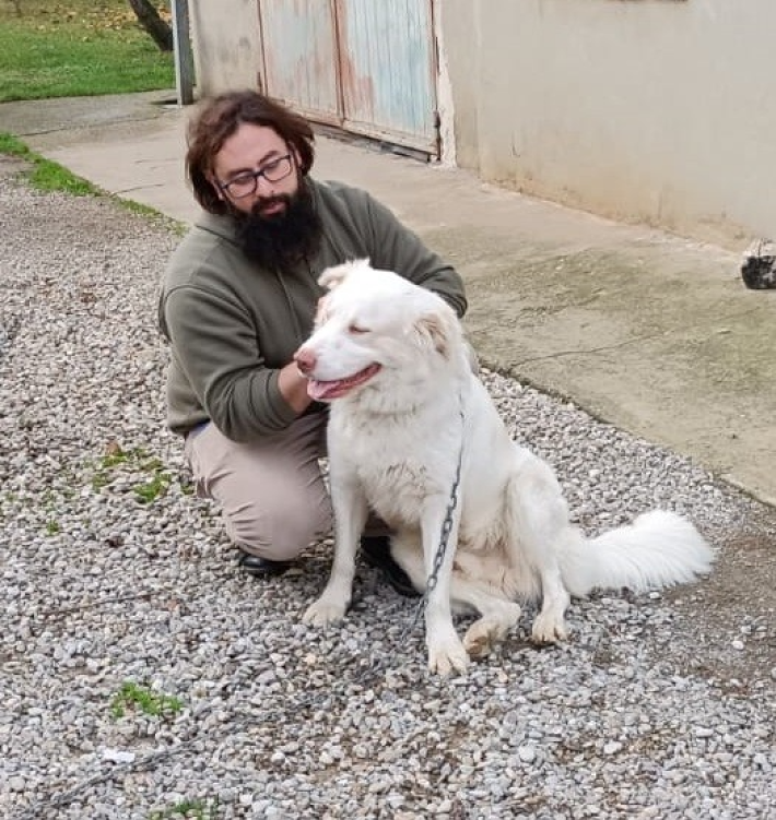 Sky, il cane "rifiutato" che ha trovato una nuova famiglia grazie alla Gazzetta