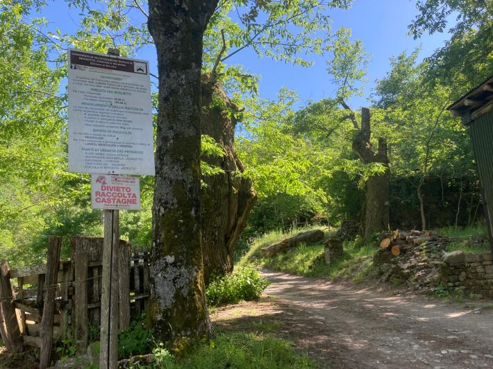 Miniere Corchia, gli ambientalisti: "La Regione respinga la richiesta di ricerca mineralogica"