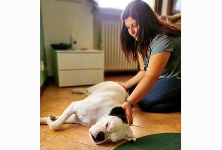 L'osteopata per ridurre  dolori e fobie degli animali