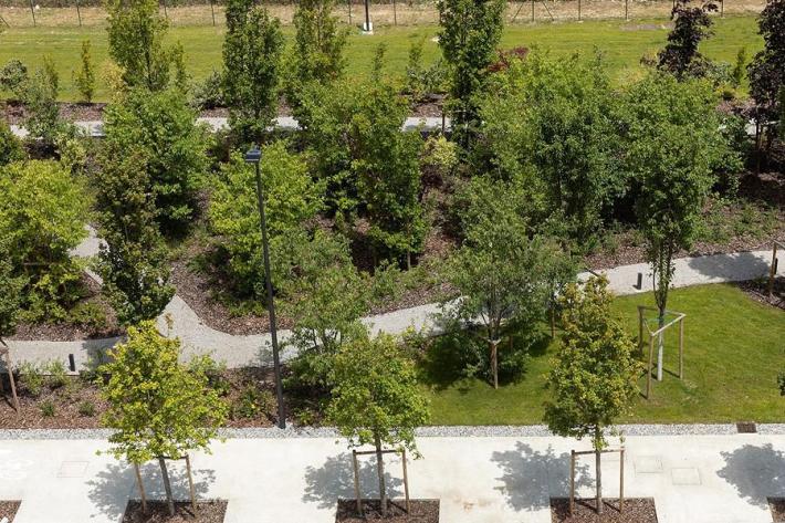 Ambiente: E-R, grazie a bando 7mila alberi su terreni aziendali