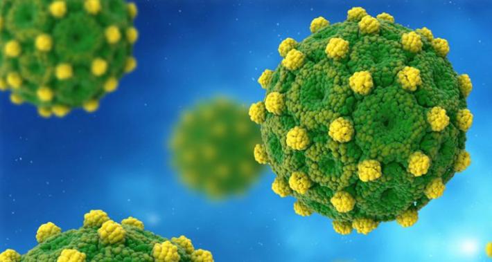 Covid, anche oggi un decesso a Parma (e nessun altro in regione). I nuovi casi sono 36 (360 in Emilia Romagna)