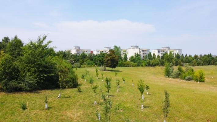 KilometroVerdeParma: sono sei i progetti finanziati da Regione Emilia-Romagna