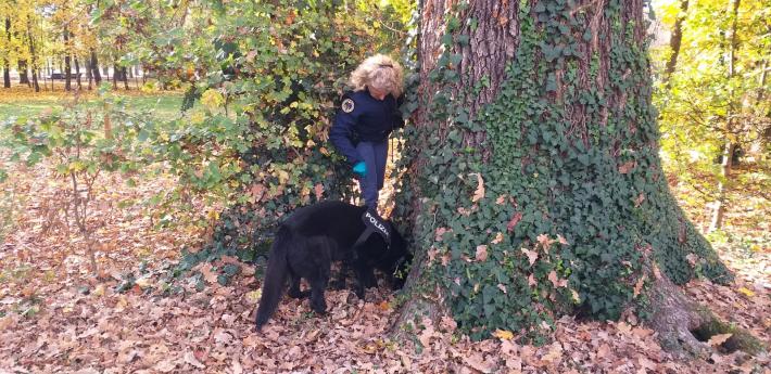 Polizia di Stato di Parma. Comunicato stampa Controlli straordinari del territorio
