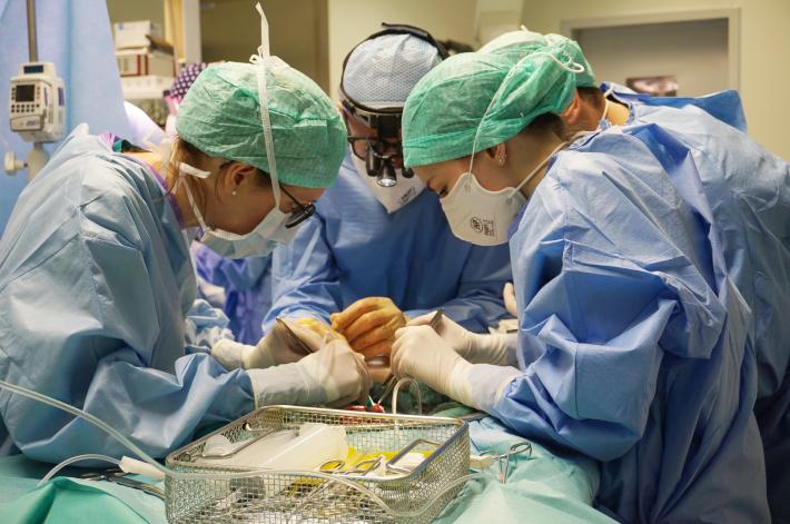 Bergamo, un padre dona una parte del polmone al figlio: &egrave; il primo trapianto di questo tipo in Italia