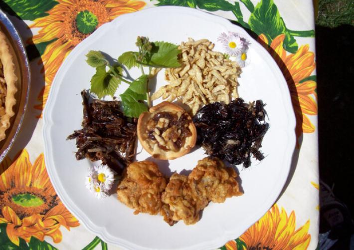 "Uomini e giovani pi&ugrave; propensi a mangiare gli insetti": studio internazionale, coinvolta l'Universit&agrave; di Parma