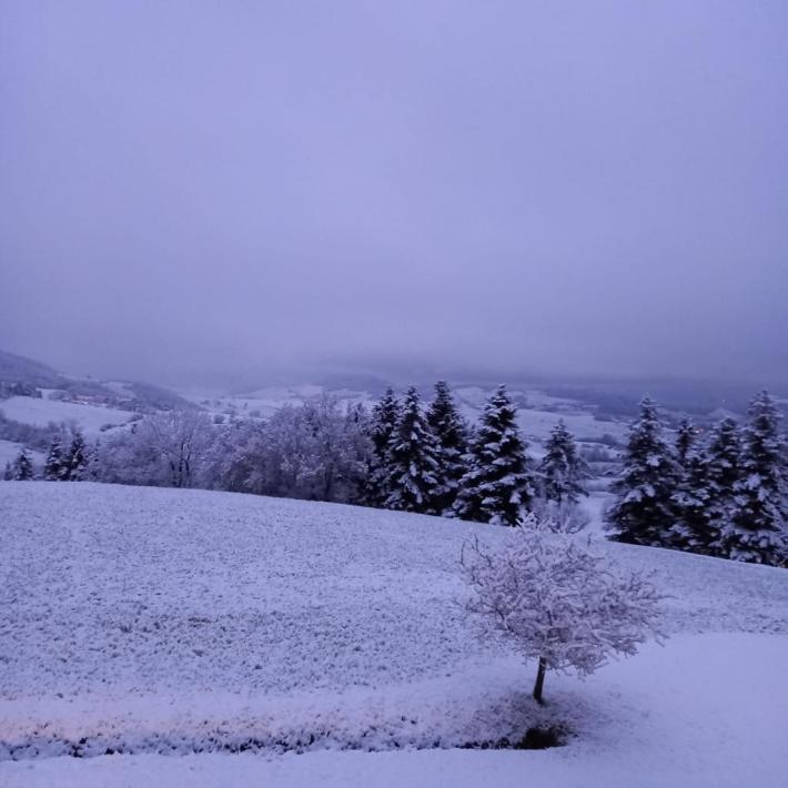 Maltempo, allerta arancione in Romagna e gialla per neve nell'Appennino parmense