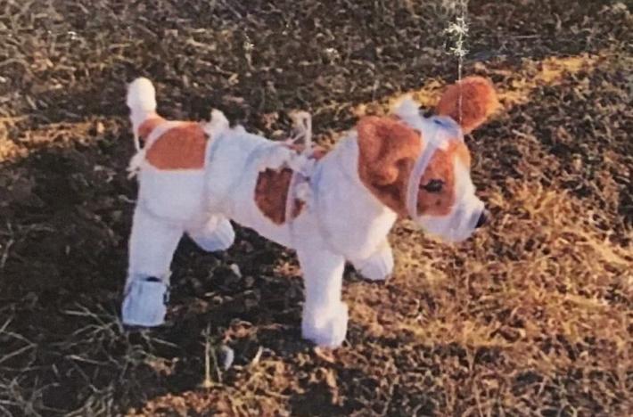 Ecco i peluche elettrificati