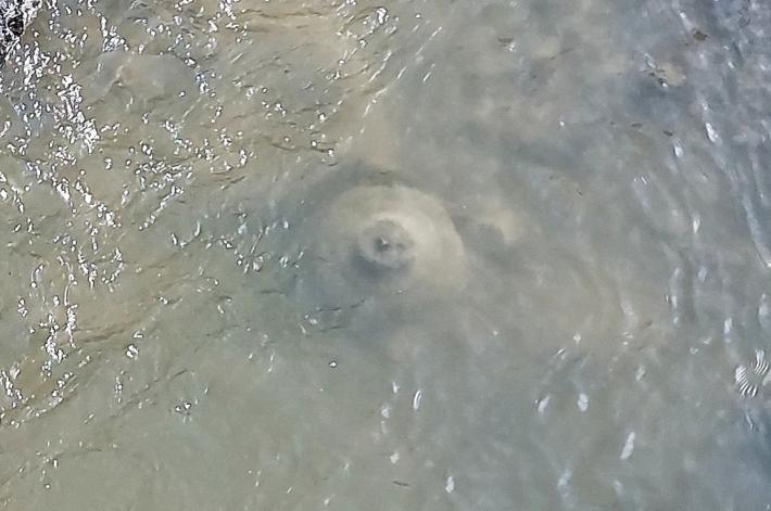 Salso, un ordigno bellico nel torrente Ghiara? 