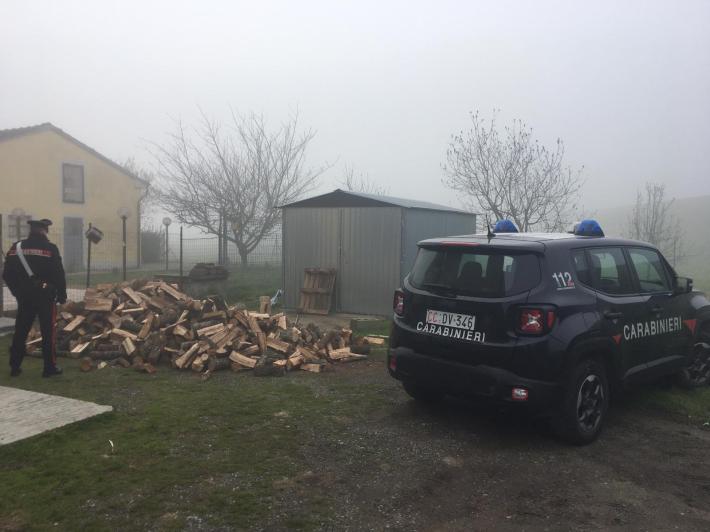 Truffa della legna, ne ordina 50 quintali online, ma gliene consegnano 20: presi  dai carabinieri i due "venditori"