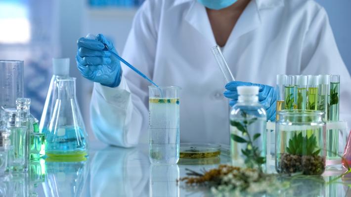 Una farmacia nell'orto di casa 