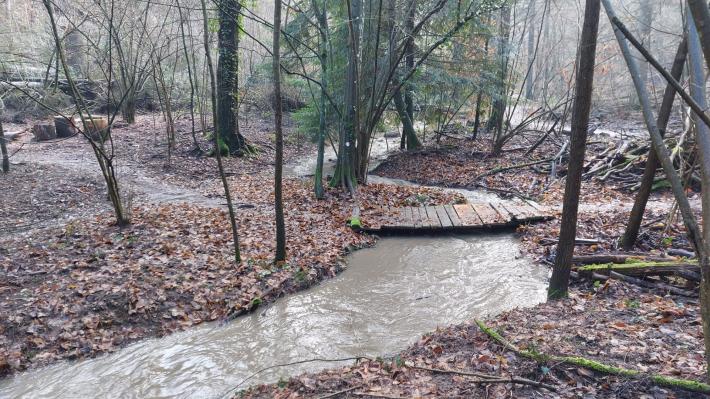 Puliti i fossi dei Boschi di Carrega