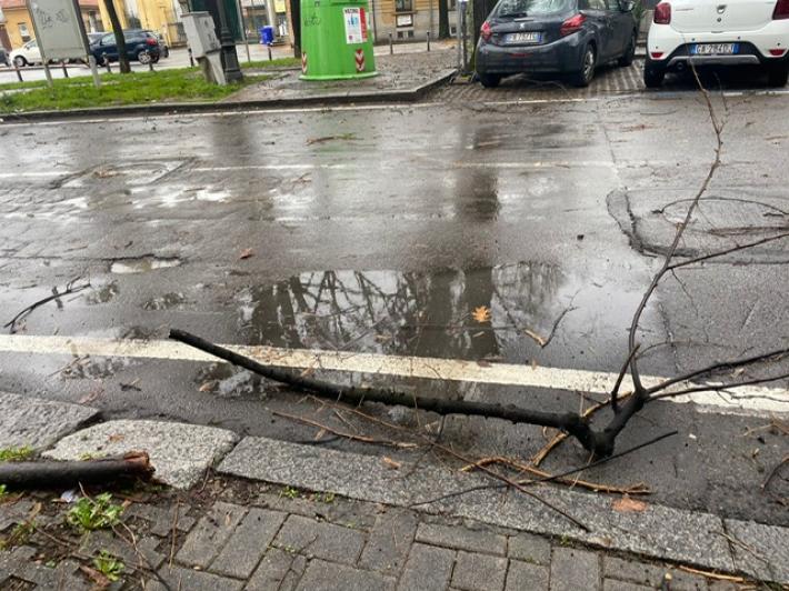 Vento forte, chiusi Cittadella e Parco Ducale 