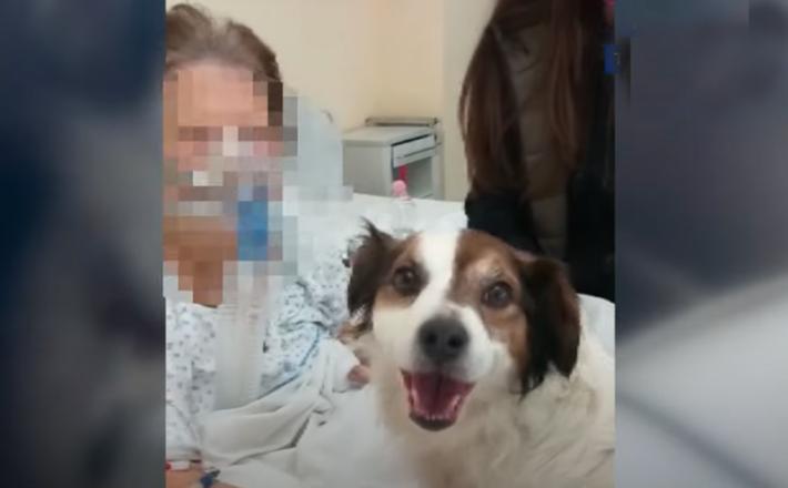 Cane in ospedale per l'ultimo saluto - Video