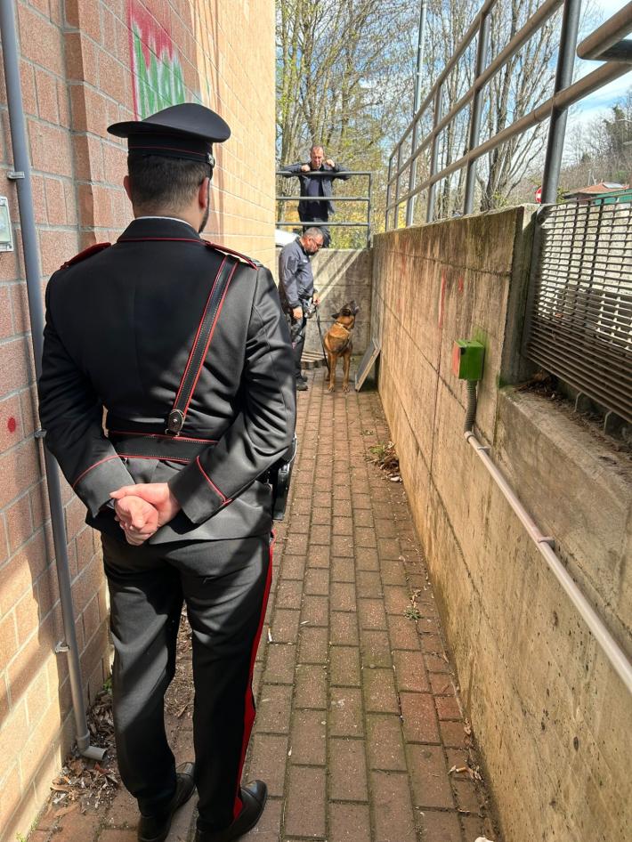 Lotta alla droga, i carabinieri con i cani al Gadda di Fornovo, nei parchi e  in stazione: 5 giovani segnalati 