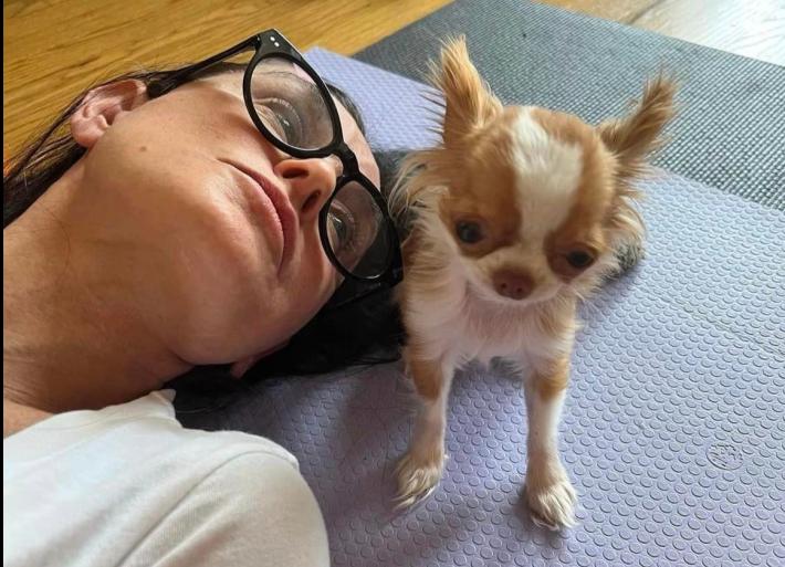 Demi Moore candida il suo chihuahua per il Guinness dei primati