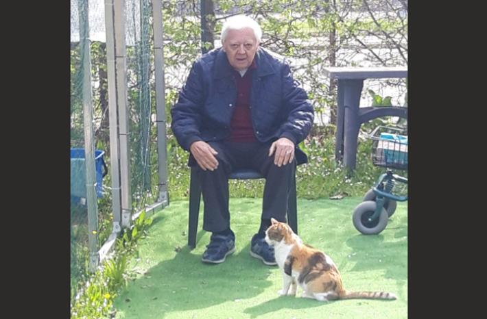 Casa protetta, ora  c'&egrave; posto anche  per i  gatti di Lucio