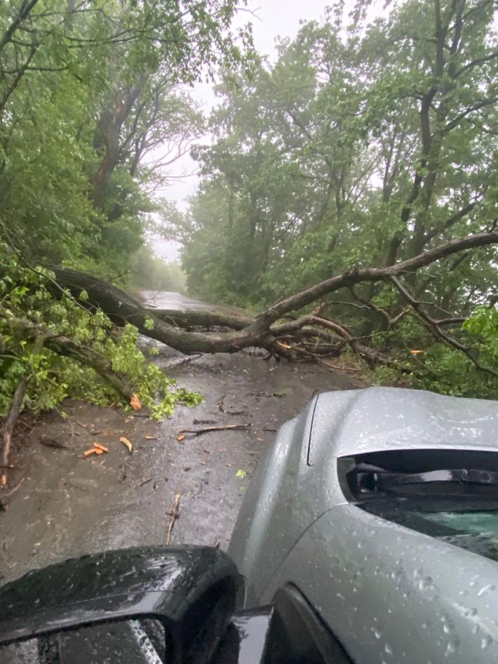 Sala Baganza: il vento abbatte un grosso pioppo in via Maiatico. Strada liberata questa mattina 