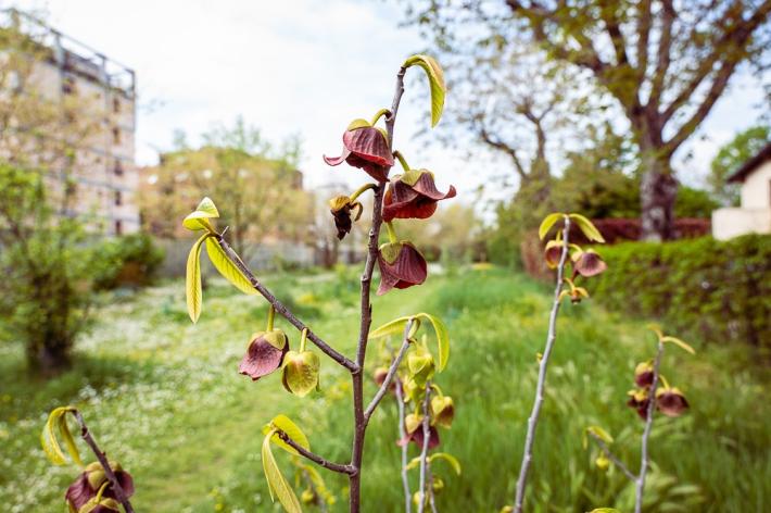 Interno Verde Data Viz, workshop per comunicare l'ambiente che cambia 