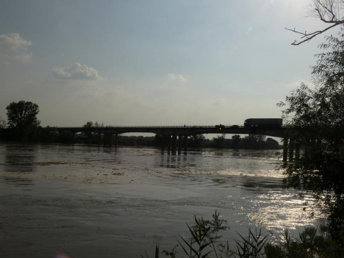 Piena del Po con annuncio Rad Pavia-Venezia e Vogaposse