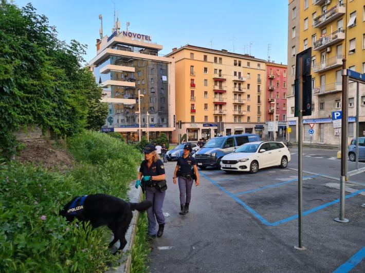 Intensificati i controlli del territorio. Sequestrato stupefacente. Espulso extracomunitario. Denunciati due extracomunitari per falsa attestazione resa a pubblico ufficiale, e uno perch&eacute; inottemperan