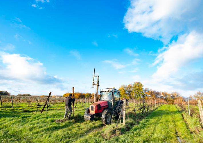 Barilla e Davines insieme per l'agricoltura rigenerativa con il progetto bello e buono