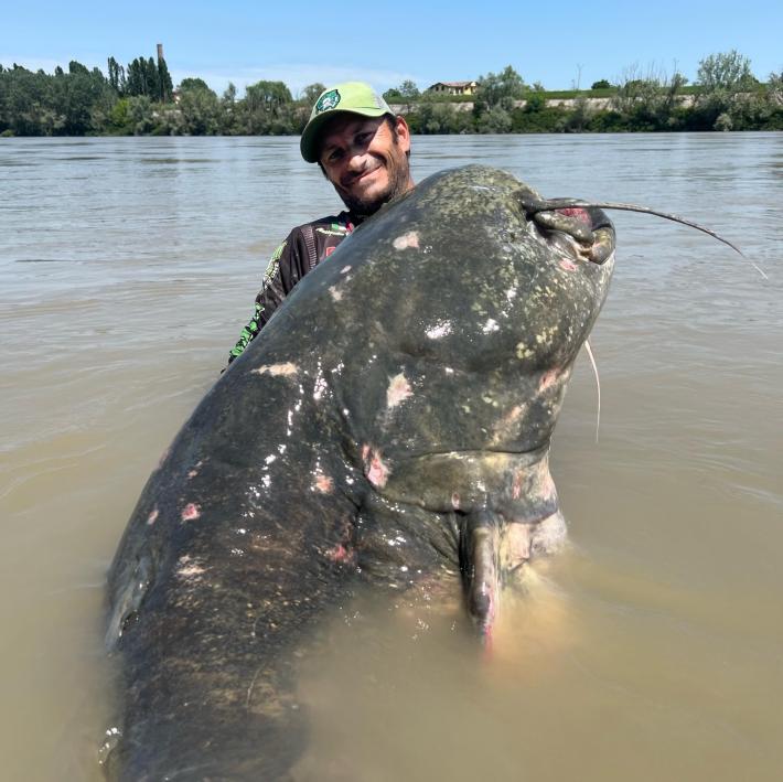 Il "pesce da record" nel Po: ecco il video del "mostro"