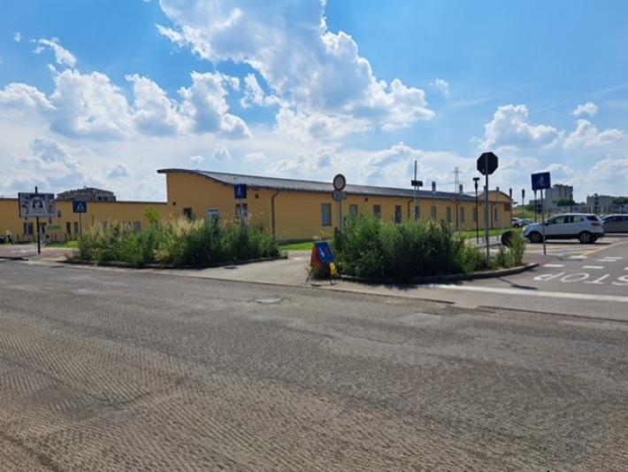 Noncuranza delle aiuole  