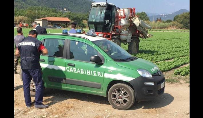 Contestate dai Carabinieri Forestali dieci sanzioni amministrative per un importo complessivo di oltre dodicimila euro.