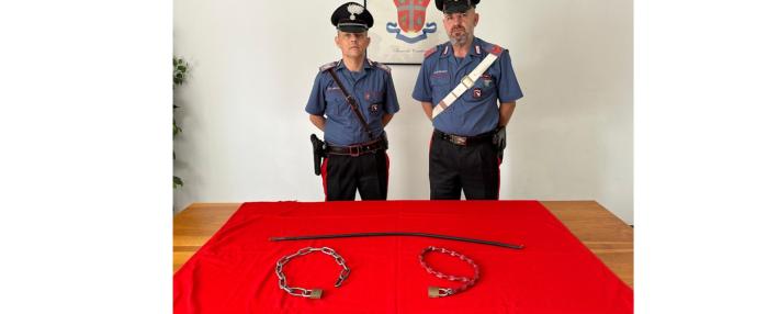 Rintracciati e denunciati i quattro aggressori di via Mantova