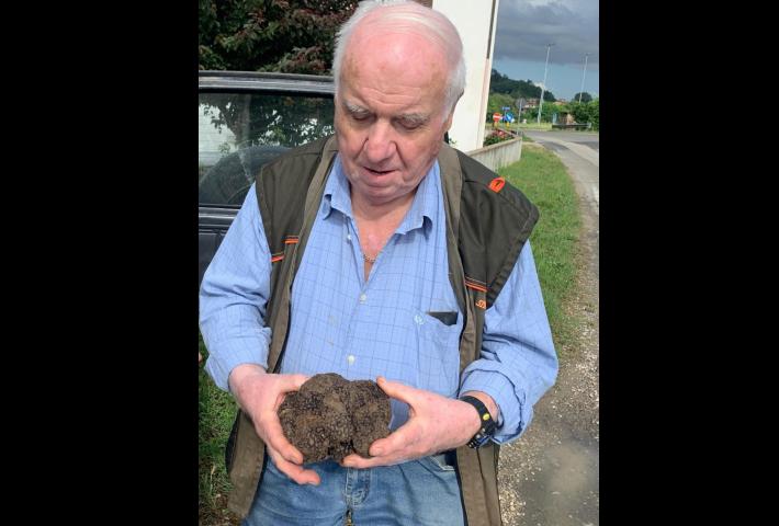 Il cane Pepe trova  un tartufo da oltre un chilo