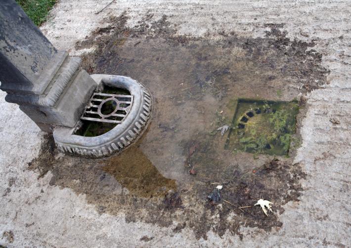 Lotta alle zanzare: tutti i consigli per difendersi dalla &laquo;tigre&raquo;