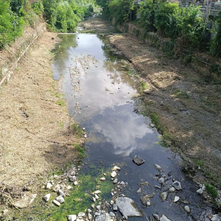 Giungla nel Ghiara e nel Citronia:  iniziata la pulizia dei torrenti