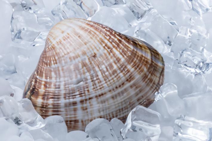 Il ghiaccio c'&egrave; 