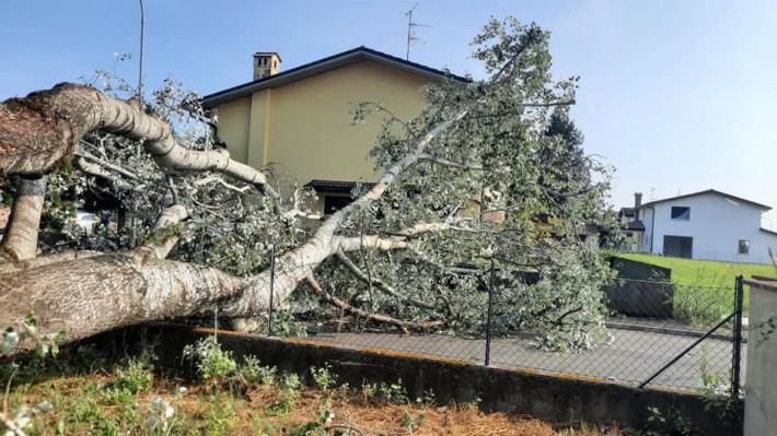 Case scoperchiate, alberi divelti: la tempesta si abbatte su Conselice gi&agrave; provata dall'alluvione in Romagna