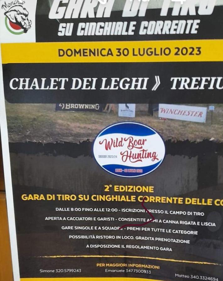 Ritorna la gara di tiro su cinghiale corrente: bocciata dalle guardie ecologiche e dagli ambientalisti ma difesa dal sindaco: "C'&egrave; spazio per tutti"