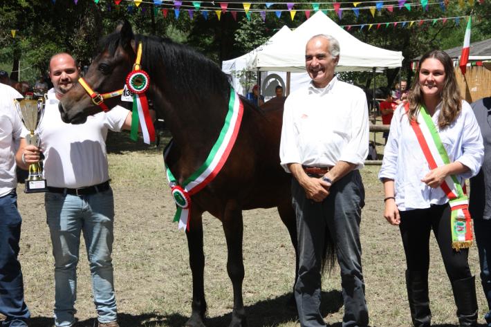 Cavallo bardigiano, Wendy e Maestrale incantano la giuria 