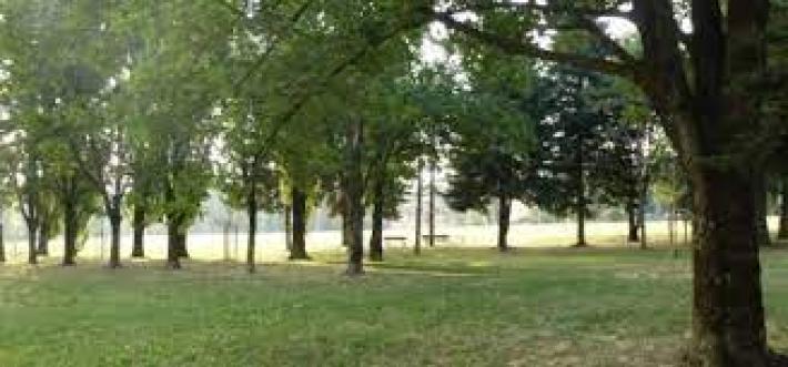 &laquo;Parco Ferrari a rischio?&raquo;