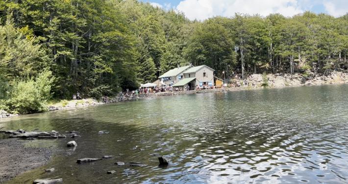 Arriva il &ldquo;bosco bus&rdquo;: da Parma citt&agrave; sino all&rsquo;appennino 