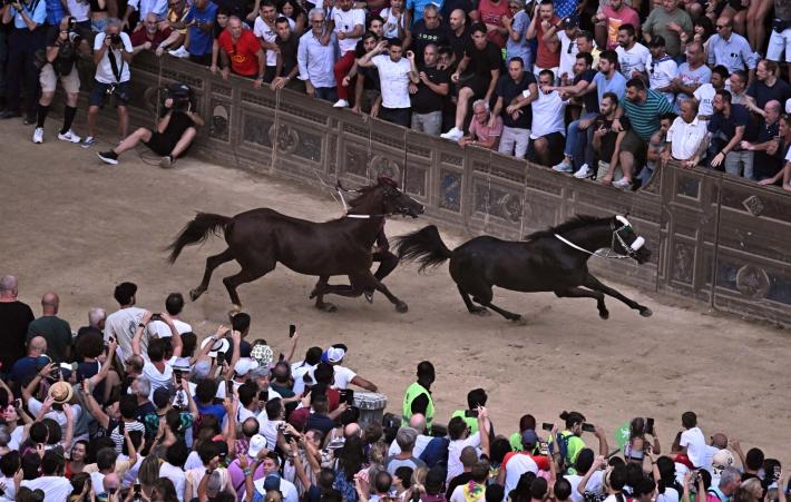 Il Palio va all'Oca che vince con il cavallo scosso