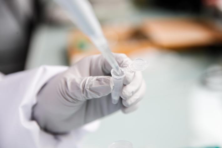 Dai batteri intestinali una speranza contro la Sla e la sindrome di Dravet