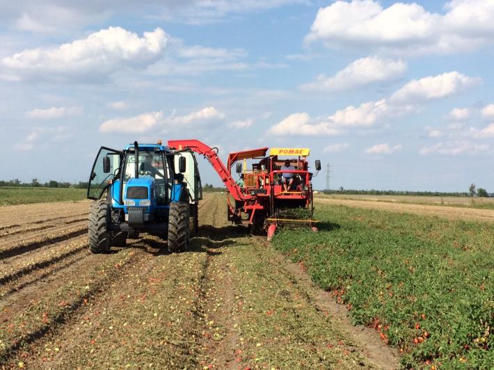 La campagna &egrave; partita sotto una buona stella. Ma i tempi sono lunghi