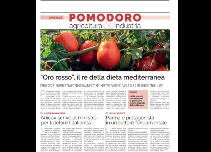 Speciale pomodoro: (domani) inserto di 16 pagine sull' "oro rosso"