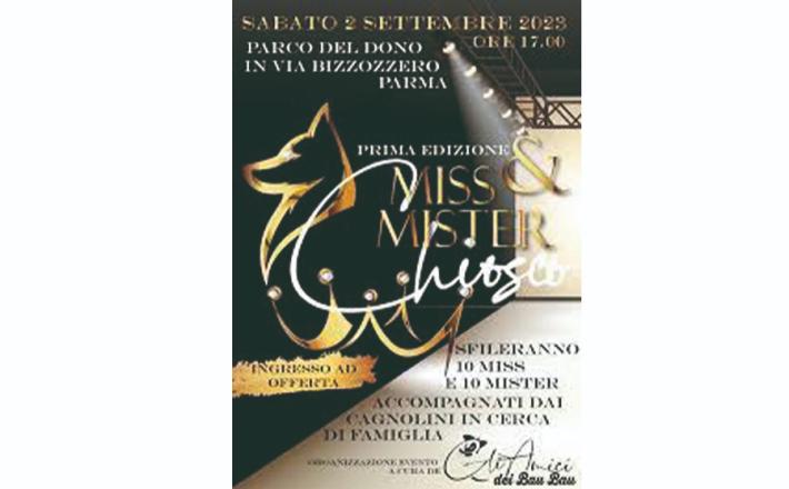 &laquo;Miss e mister chiosco&raquo;   per bellezza e simpatia. Concorso di bellezza con cagnolini in cerca di padrone