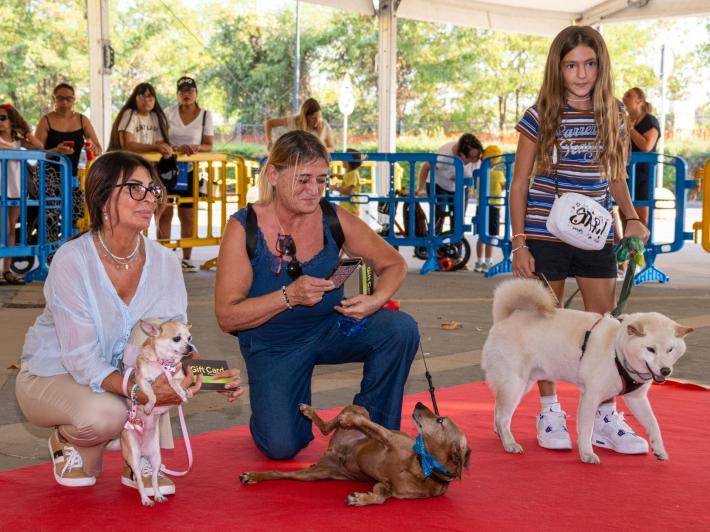 I &laquo;pelosi&raquo; in passerella: un messaggio d'amore 