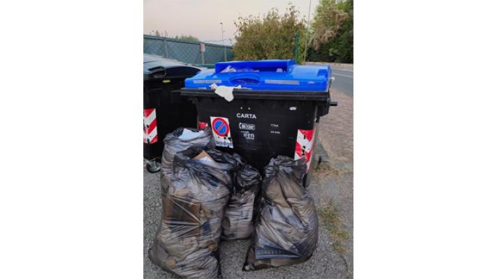 Raccolta carta a Collecchio AIUTO!!